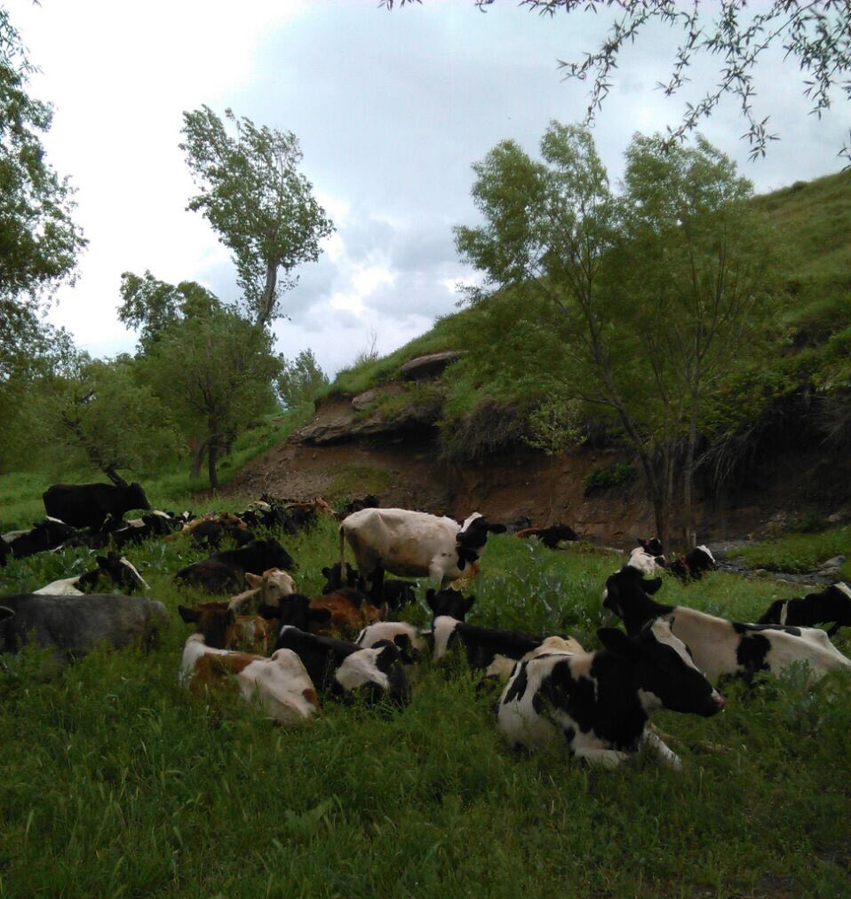 داش بلاق روستای رویندزق