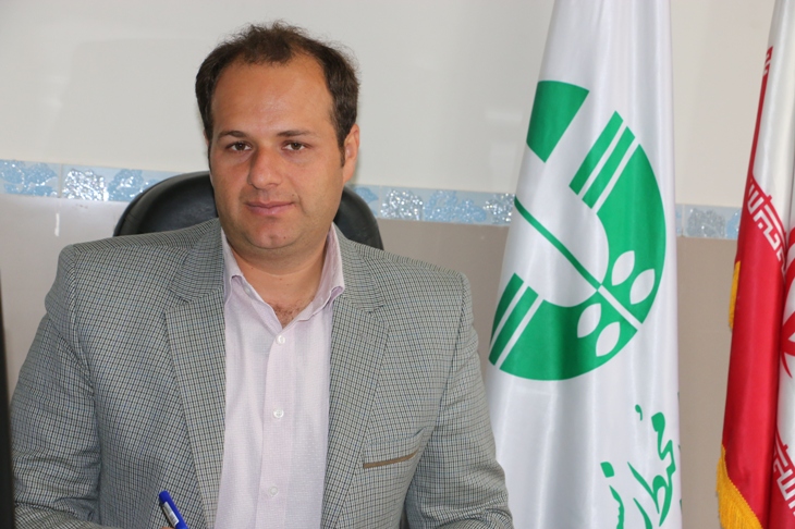 رئیس اداره حفاظت محیط زیست تاکستان: کشت های زیرنایلونی باید ممنوع شود