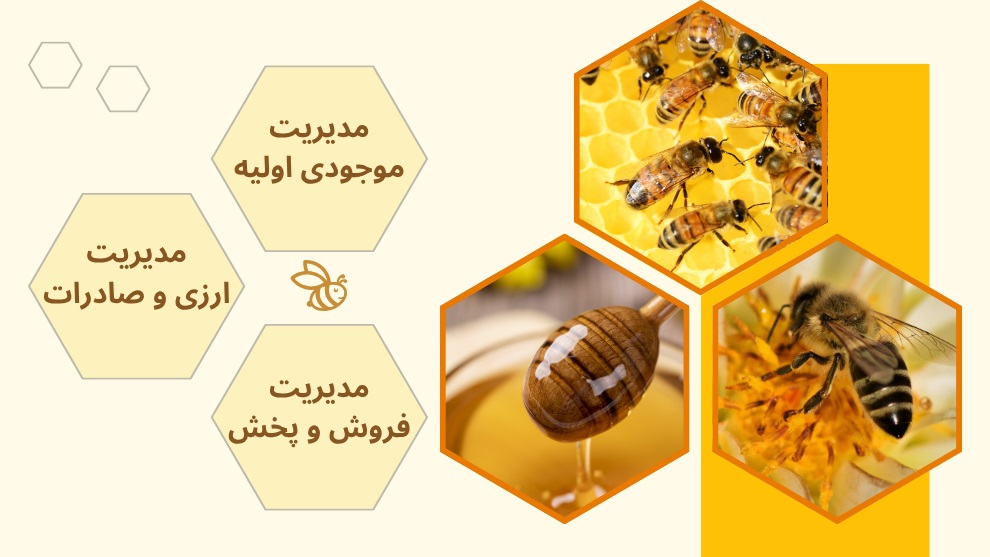10 مورد از ویژگی های کلیدی یک نرم افزار حسابداری خوب برای تولیدی عسل