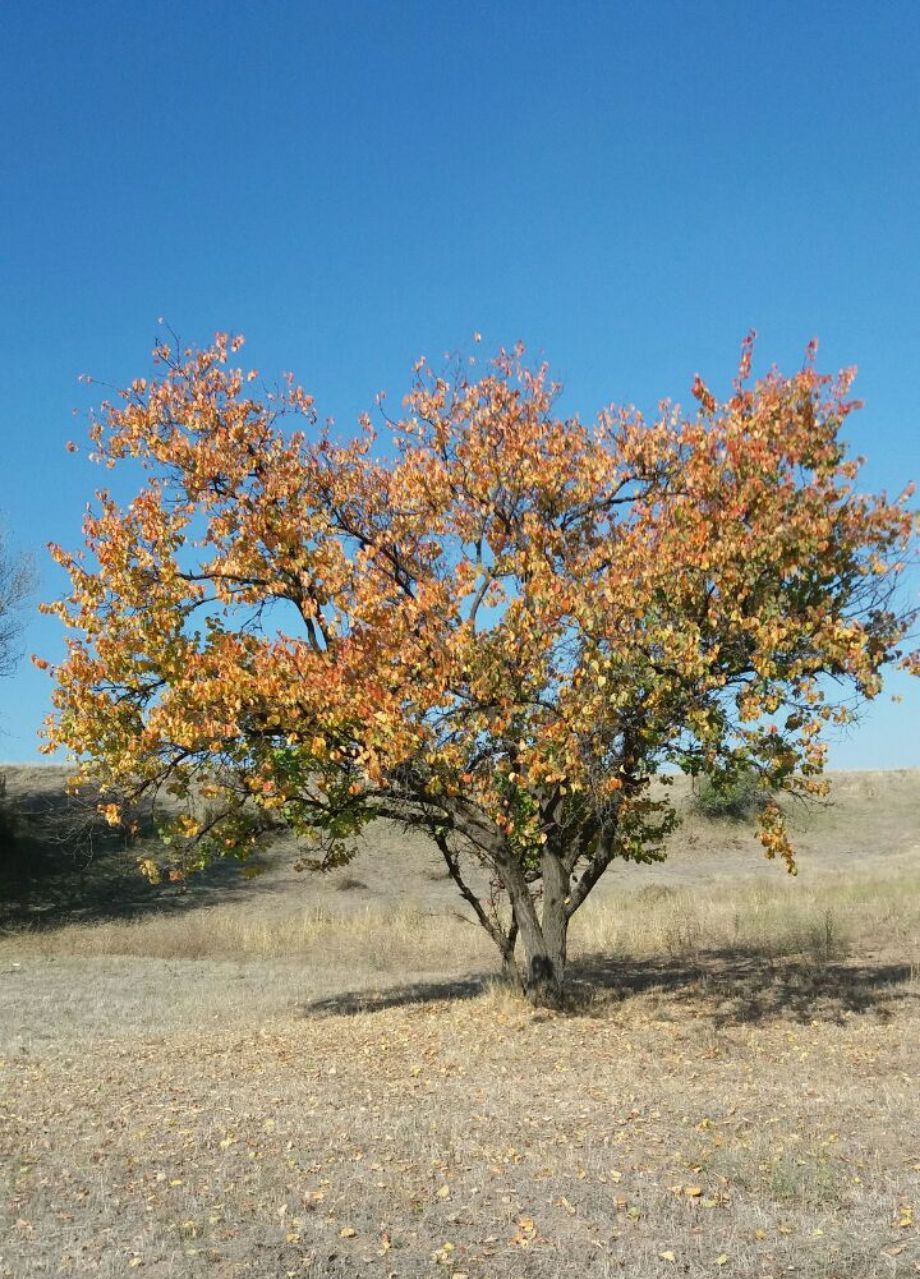 روستای رویندزق فصل پاییز