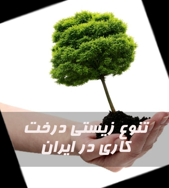 تنوع زیستی درخت کاری در ایران