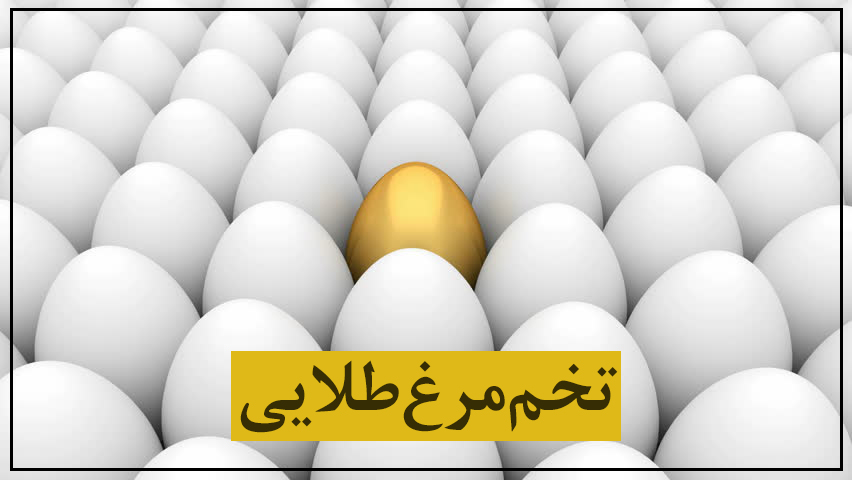 تخم مرغ طلایی؛ خرید مرغ تخم‌گذار برای اشتغال خانواده‌های نیازمند روستایی خوزستان