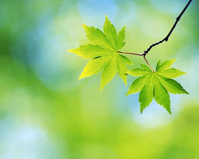 آسمان و زمین به تسخیرت در آمده، اما باز ناکامی؟!