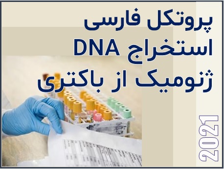 راهنمای فارسی استخراج DNA ژنومیک از باکتری