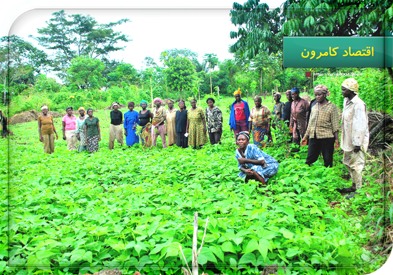 اقتصاد کامرون اقتصاد کامرون