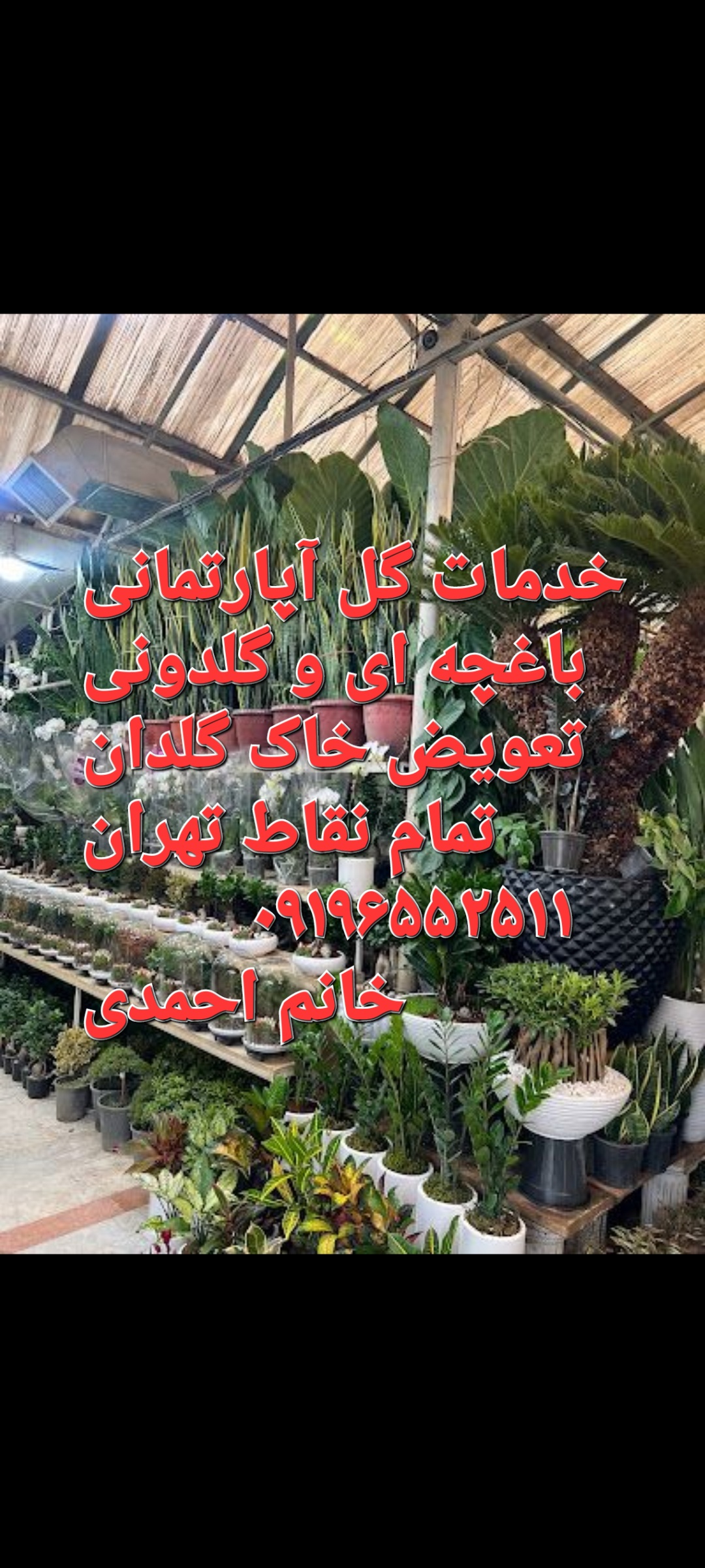 خدمات باغبانی درمحل /09196552511