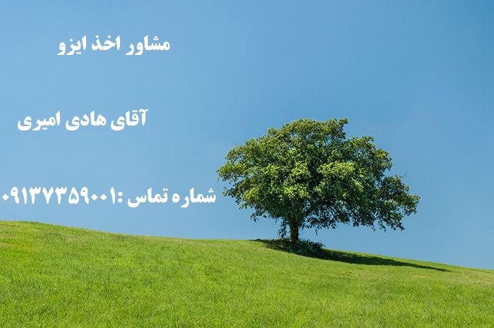 ISO consulting