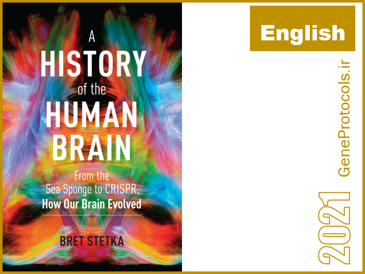 تاریخچه ای از مغز انسان- از اسفنج دریایی تا کریسپر- مغز ما چگونه تکامل یافت A History of the Human Brain_ From the Sea Sponge to CRISPR, How Our Brain Evolved