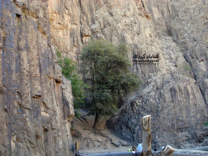 روستای در صوفه کاخک گناباد
