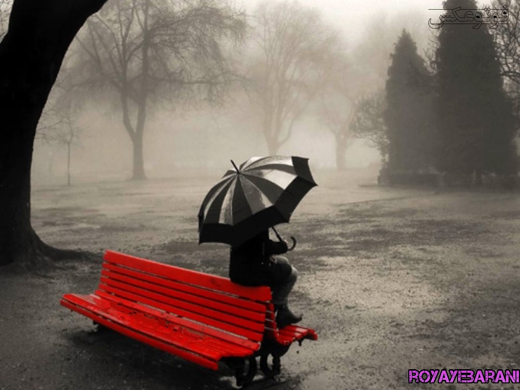 عکس دختری تنها زیر باران