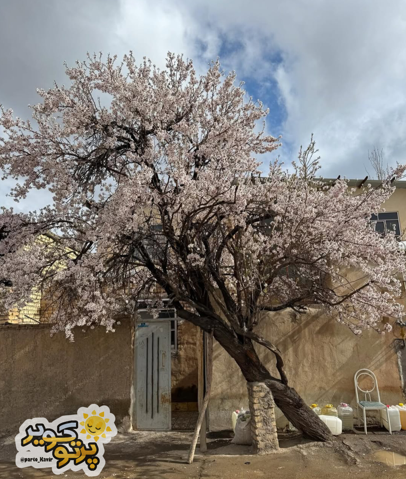 روستای علوی