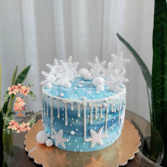 شیکترین کیک های تولد دخترانه خاص و فانتزی زمستانی