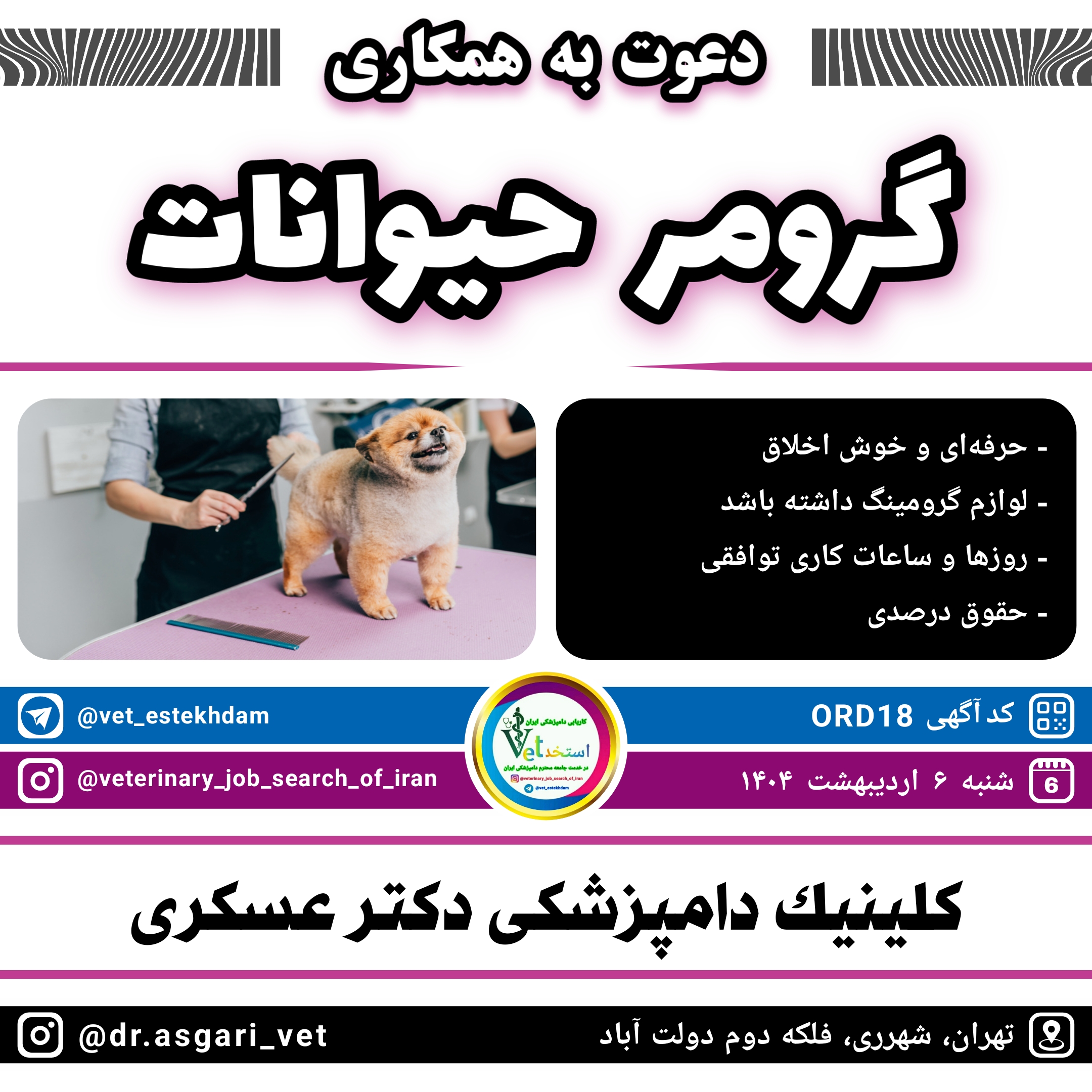 استخدام گرومر حیوانات خانگی در شهرری جهت همکاری با کلینیک دامپزشکی دکتر عسکری