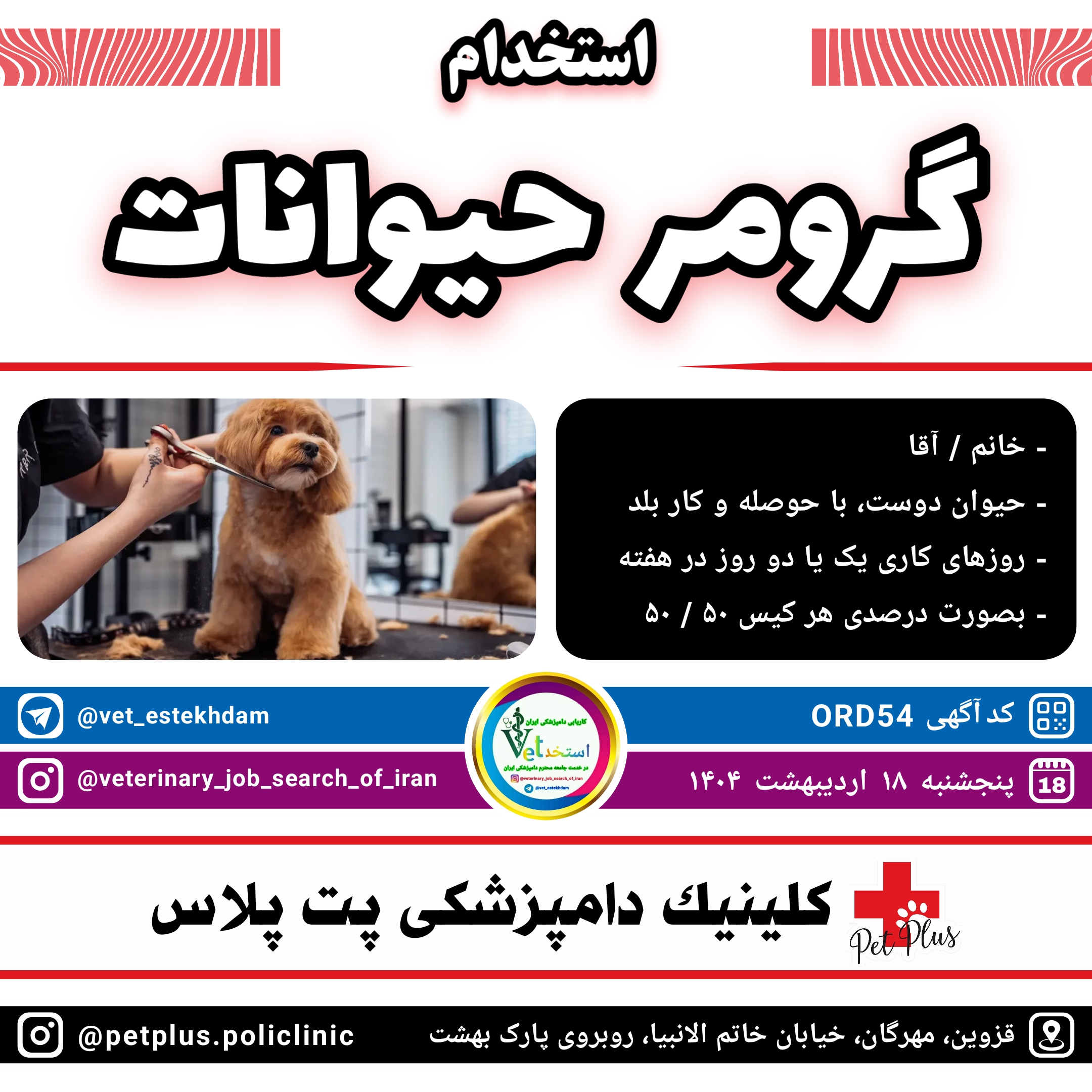 استخدام گرومر حیوانات در قزوین جهت همکاری با کلینیک دامپزشکی پت پلاس واقع در قزوین مهرگان
