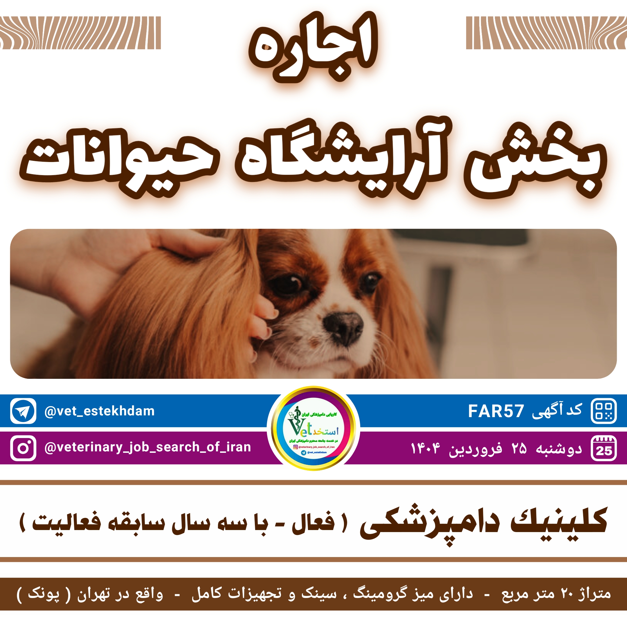 اجاره بخش گرومینگ در کلینیک دامپزشکی فعال و با سابقه در تهران محدوده پونک