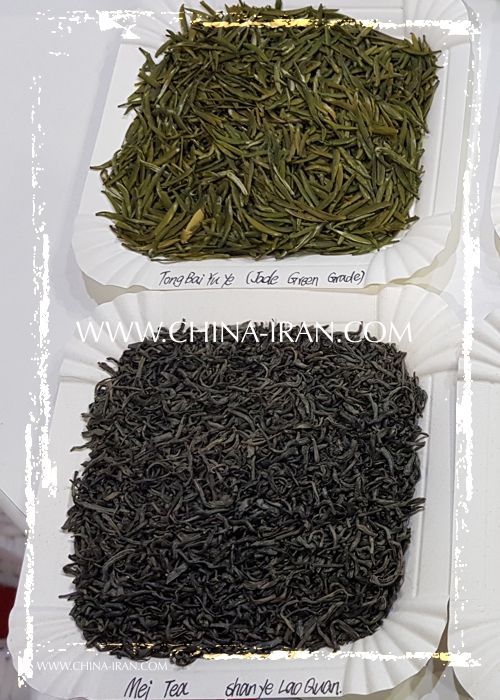 واردات چای سبز چین