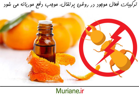 یکی از راه های دفع موریانه استفاده از روغن یا اسانس پرتقال است