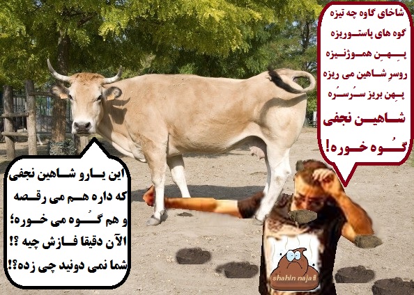 آلبوم صاد شاهین نجفی