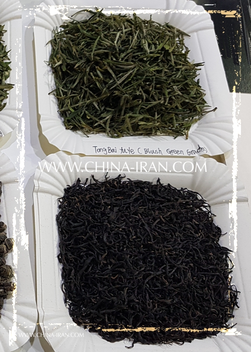 واردات چای سبز چین