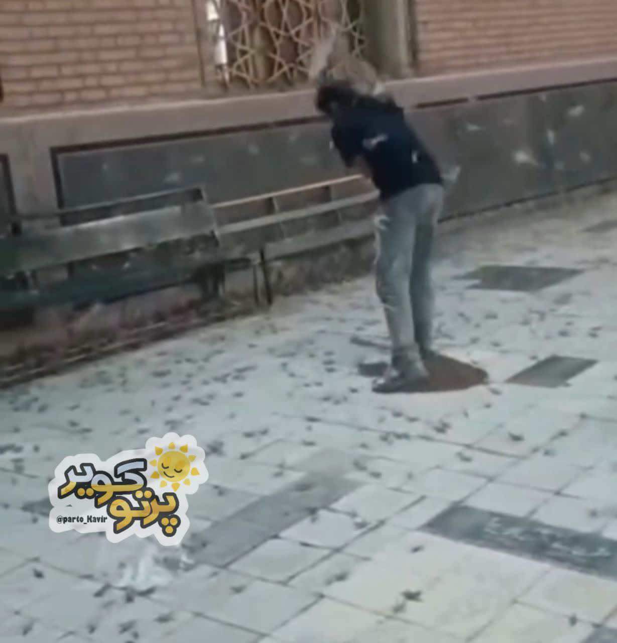 ملخ آران و بیدگل 