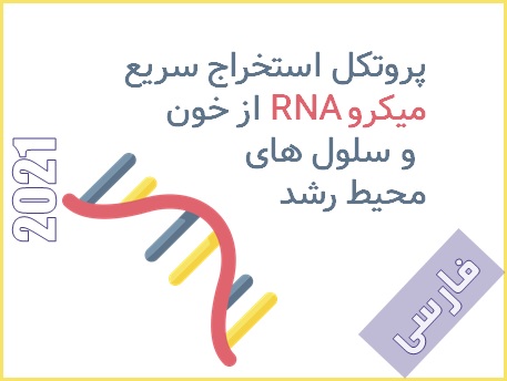 پروتکل استخراج سریع میکرو RNA از خون و سلول های محیط رشد