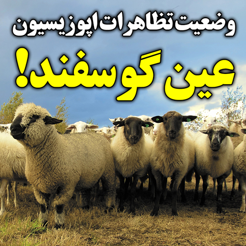 تظاهرات اپوزیسیون: عین گوسفند!