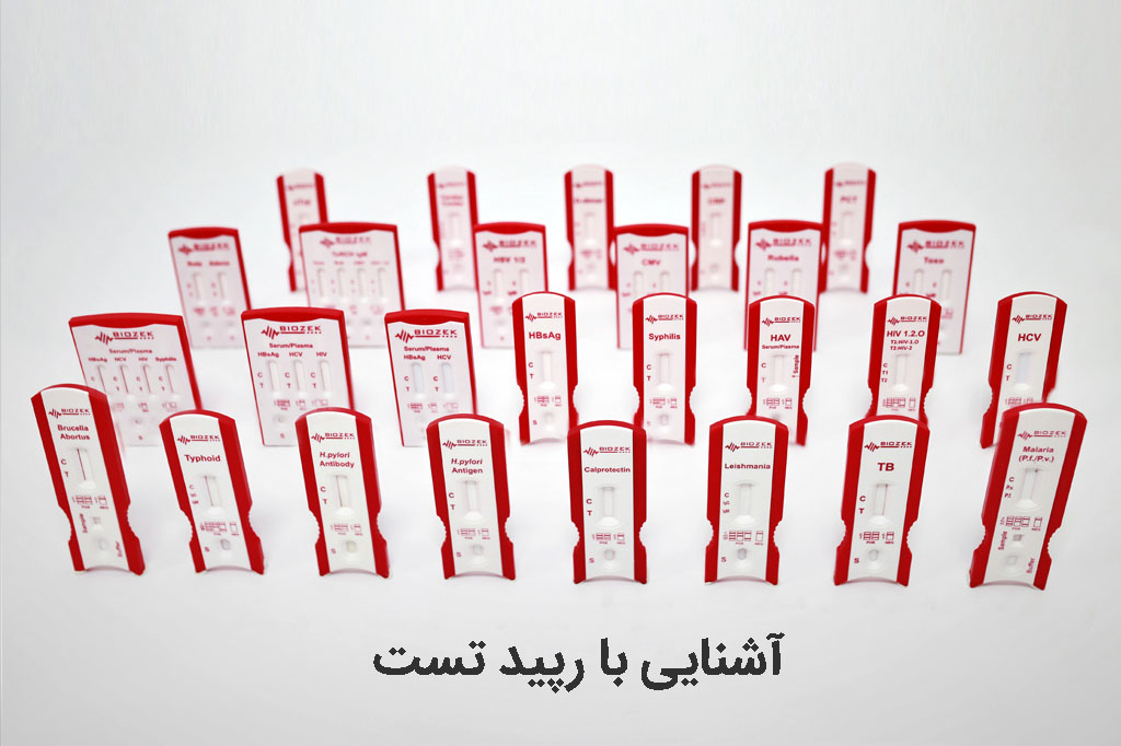 رپید تست