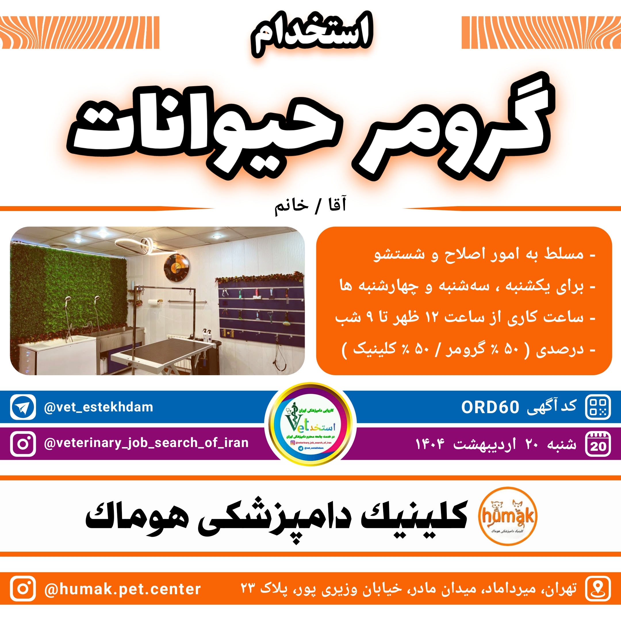 استخدام گرومر حیوانات بصورت سه روز در هفته در کلینیک دامپزشکی هوماک واقع در تهران میرداماد