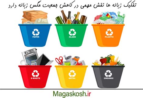 تفکیک زباله و اثر آن بر کاهش جمعیت مگس زباله