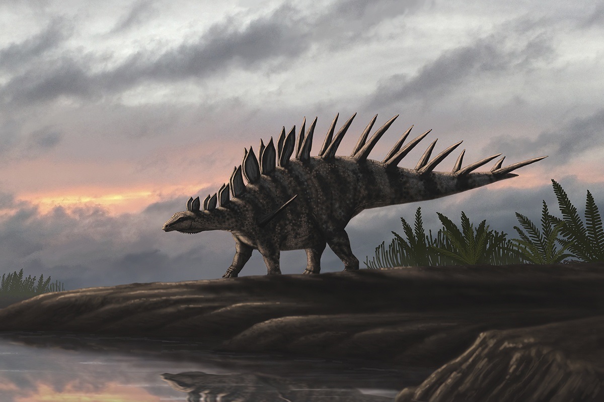 Bashanosaurus primitivus
