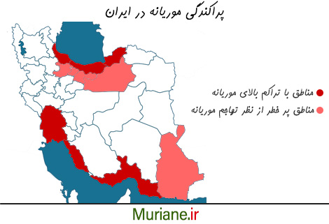 پراکندگی موریانه در ایران