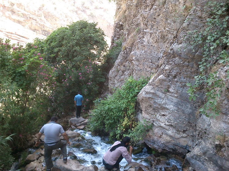 برنامه آبشار شوی گروه کوهپیمایی رویش دزفول1خرداد94 سرچشمه آبشار شوی
