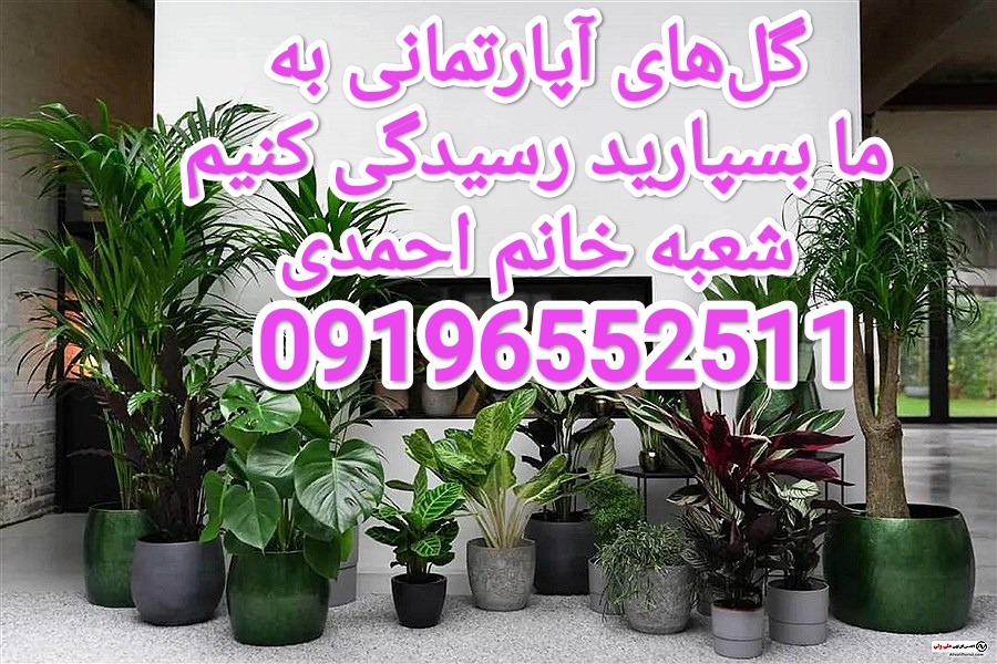 خدمات باغبانی درمحل /09196552511