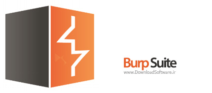Burp suite лого. Repeater burp suite. Burp suite pro icon. Burp suite. Burp suite иконка.