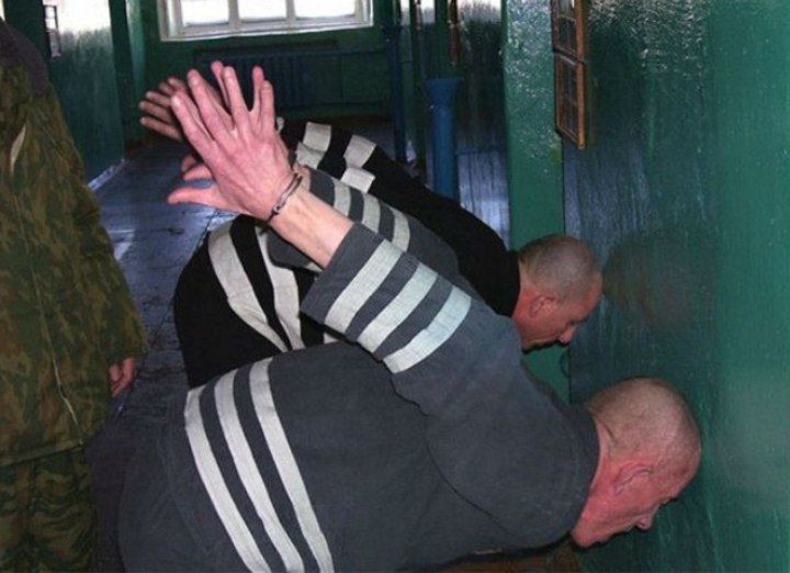 دلفین روسیه