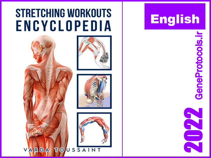 دانشنامه (دایره المعارف) تمرینات کششی Stretching Workouts Encyclopedia