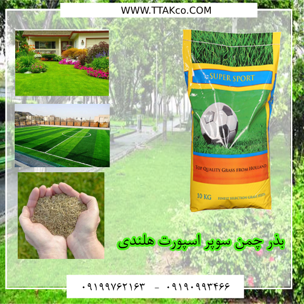 بذر چمن سوپر اسپرت هلندی
