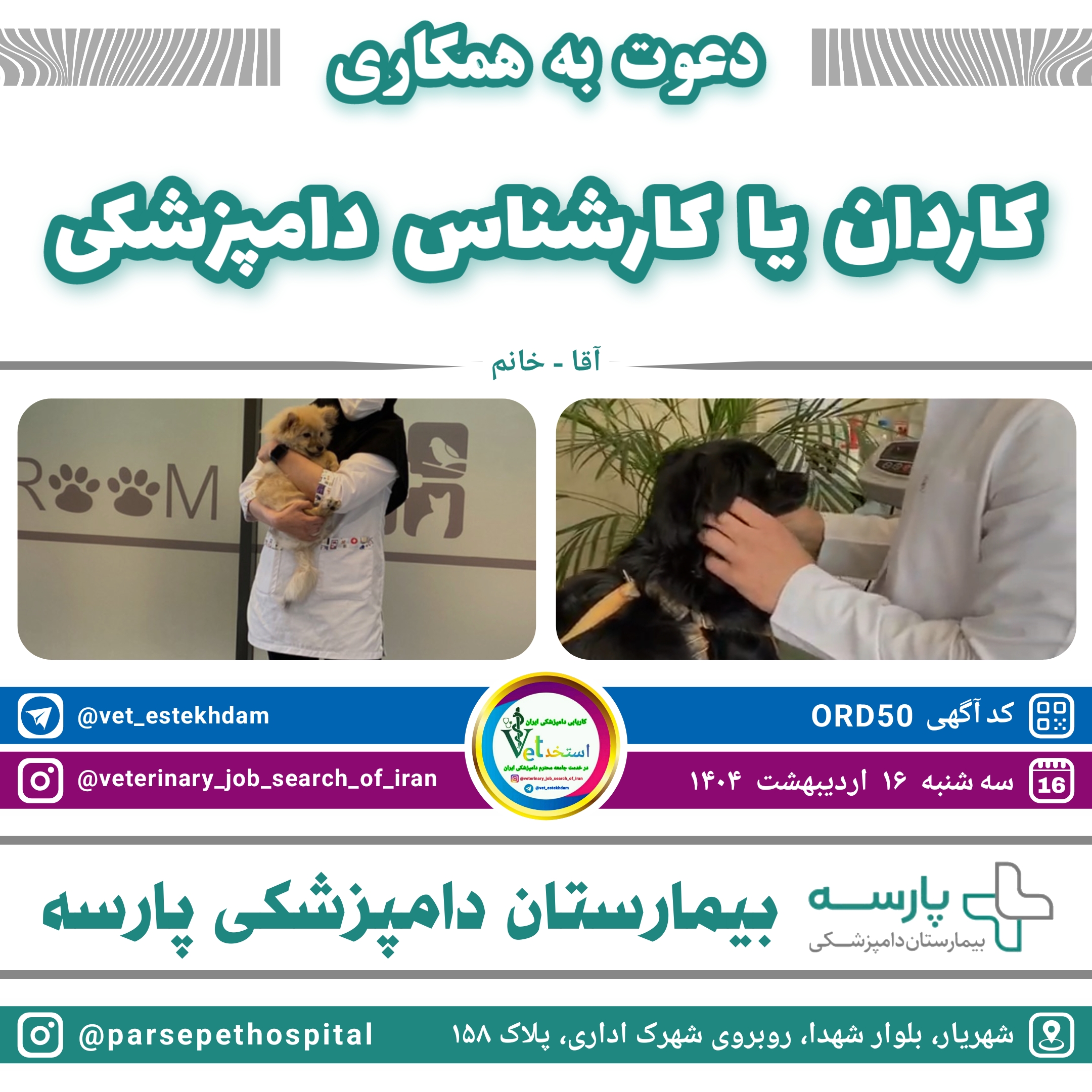 استخدام کاردان و کارشناس دامپزشکی در بیمارستان دامپزشکی پارسه واقع در شهریار بلوار شهدا