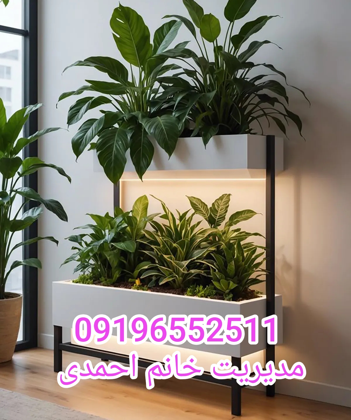 تعویض خاک گلدان باغچه نیاوران 09196552511مدیریت خانم احمدی کاشت درخت وگل ویزیت گیاه در محل