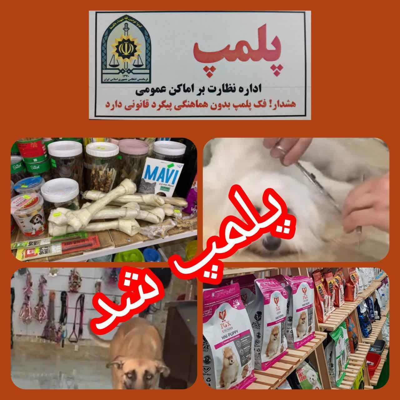 پت شاپ در کاشان