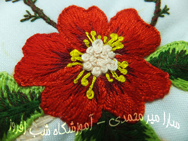 یک گل با سایه روشنی زیبا- سارا میر محمدی