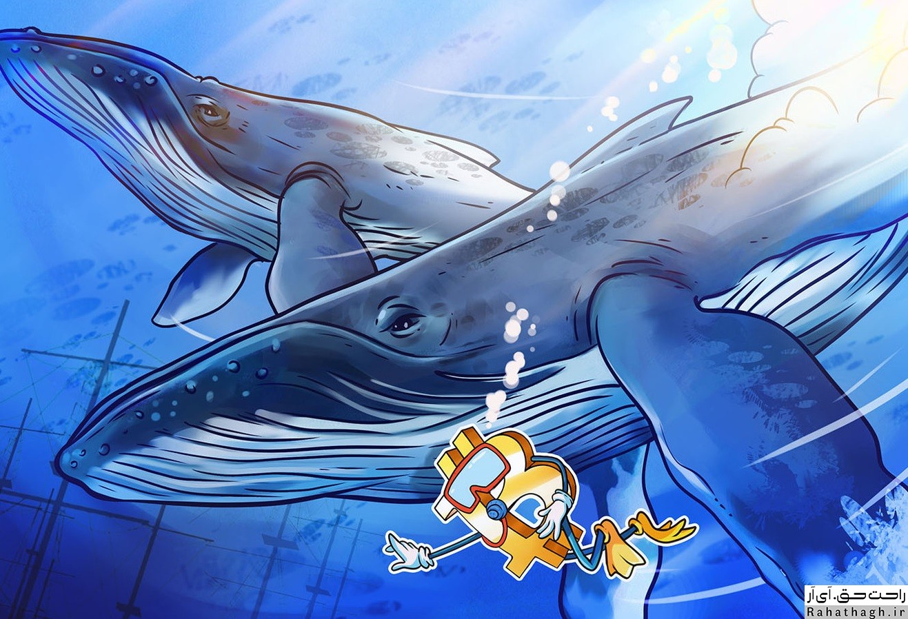 https://bayanbox.ir/view/7353338403342916623/whales-cryptocurrency.jpg