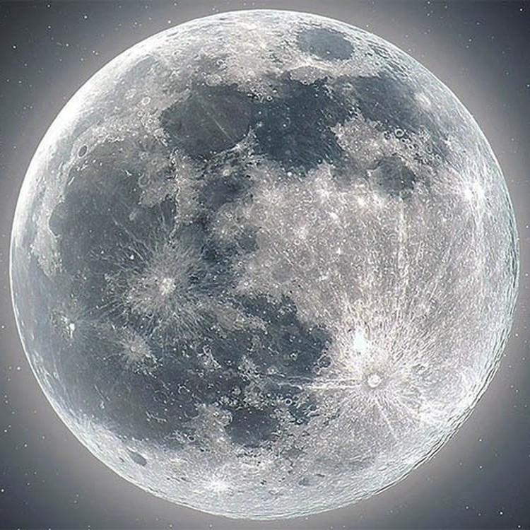 مینوکی