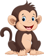 میمون میمون