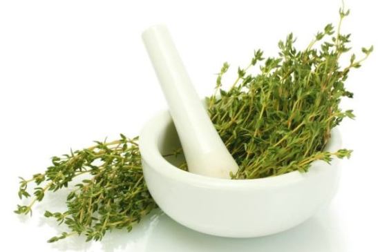 خواص گیاه دارویی آویشن - مجله بیفان