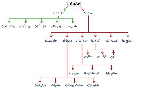 طبقه بندی جانداران