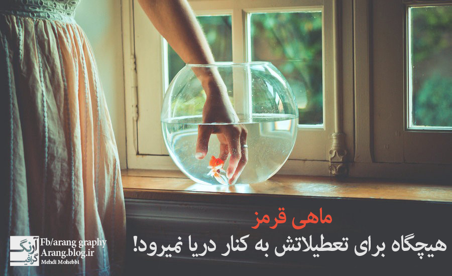 ماهی قرمز