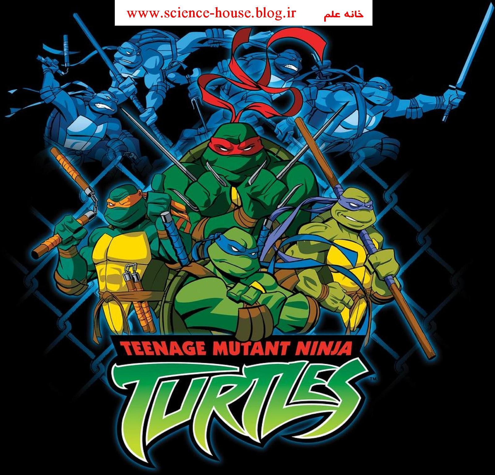 TMNT 2003