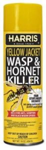 وسپ هارنی: سم کشنده زنبور با اثربخشی بالا