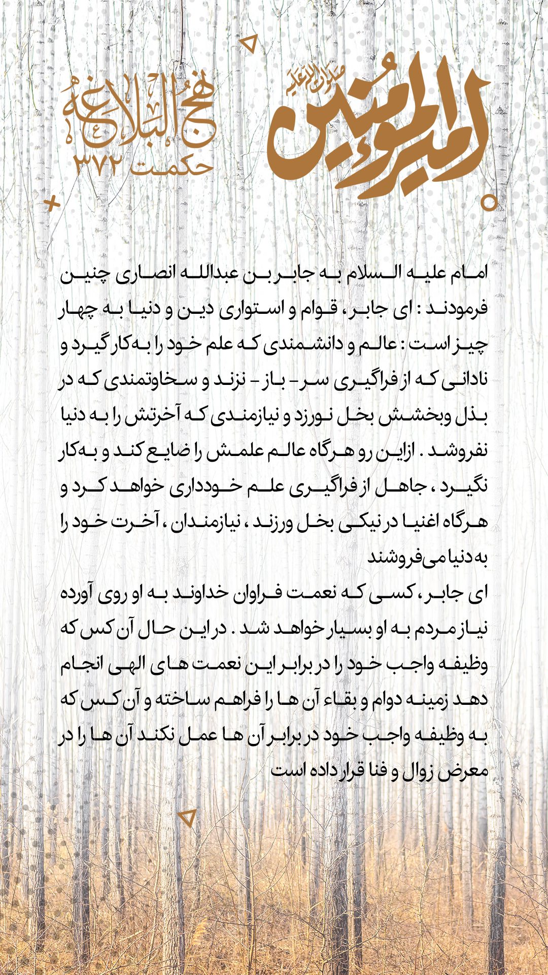 حکمت 372 نهج البلاغه